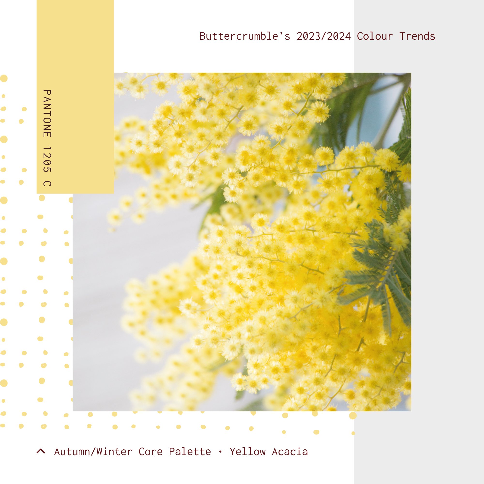 2023-4 Colour Trends - Palette - 0822_A-W 02.jpg