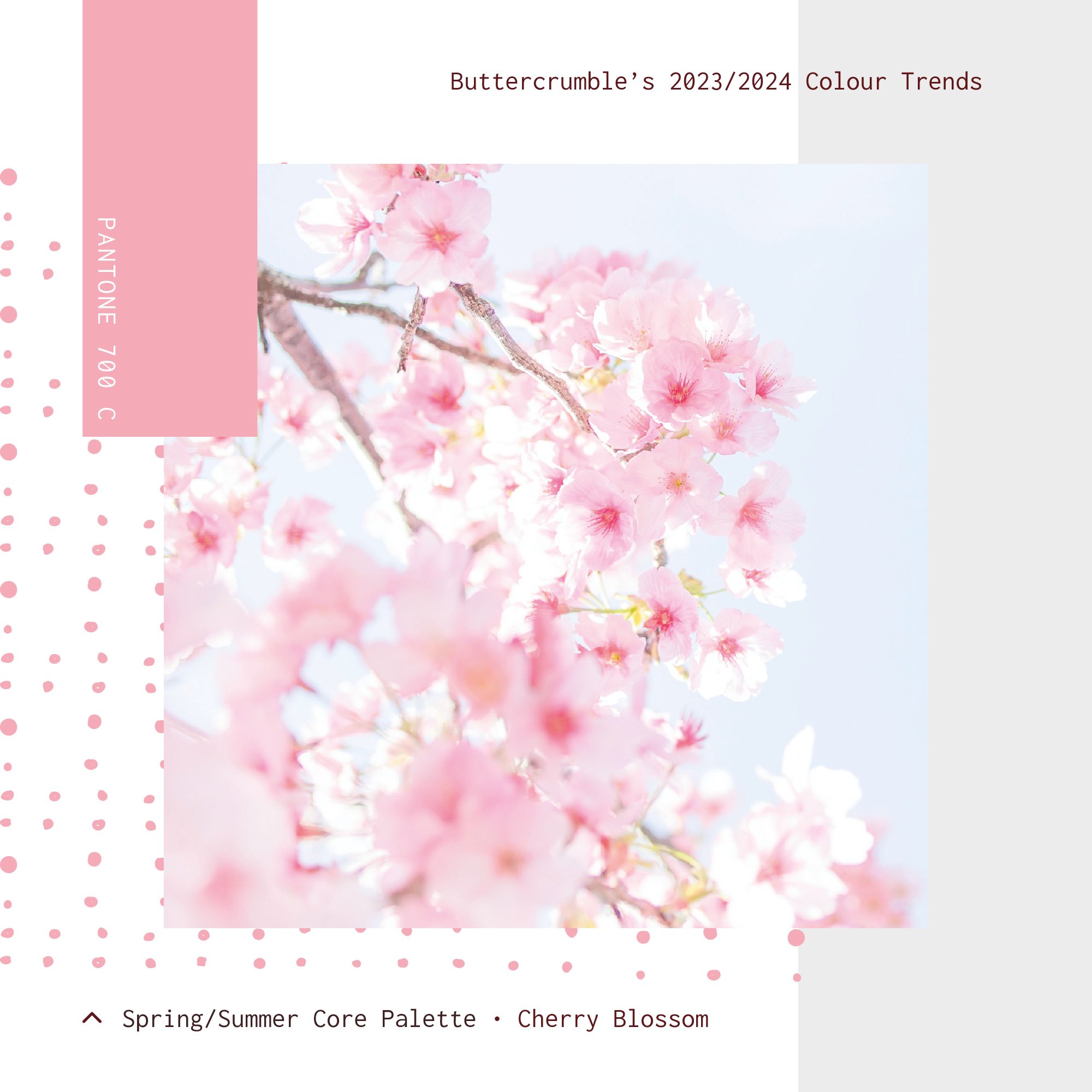 2023-4 Colour Trends - Palette - 0822_S-S 03.jpg