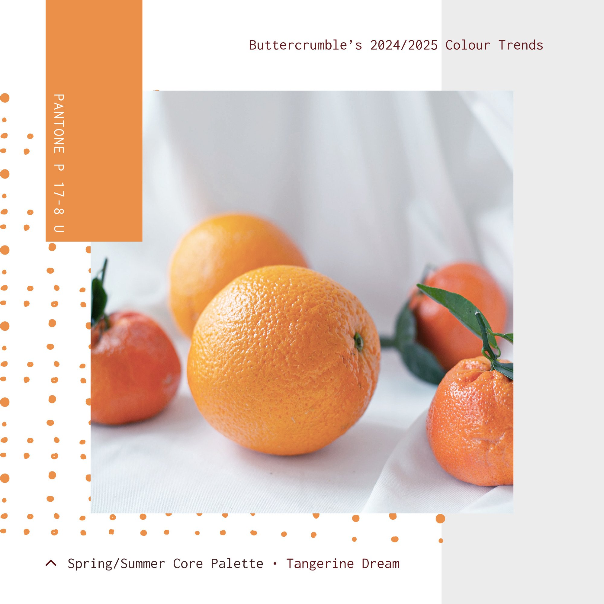 2024-5 Colour Trends - Palette - 0223_SS 01.jpeg