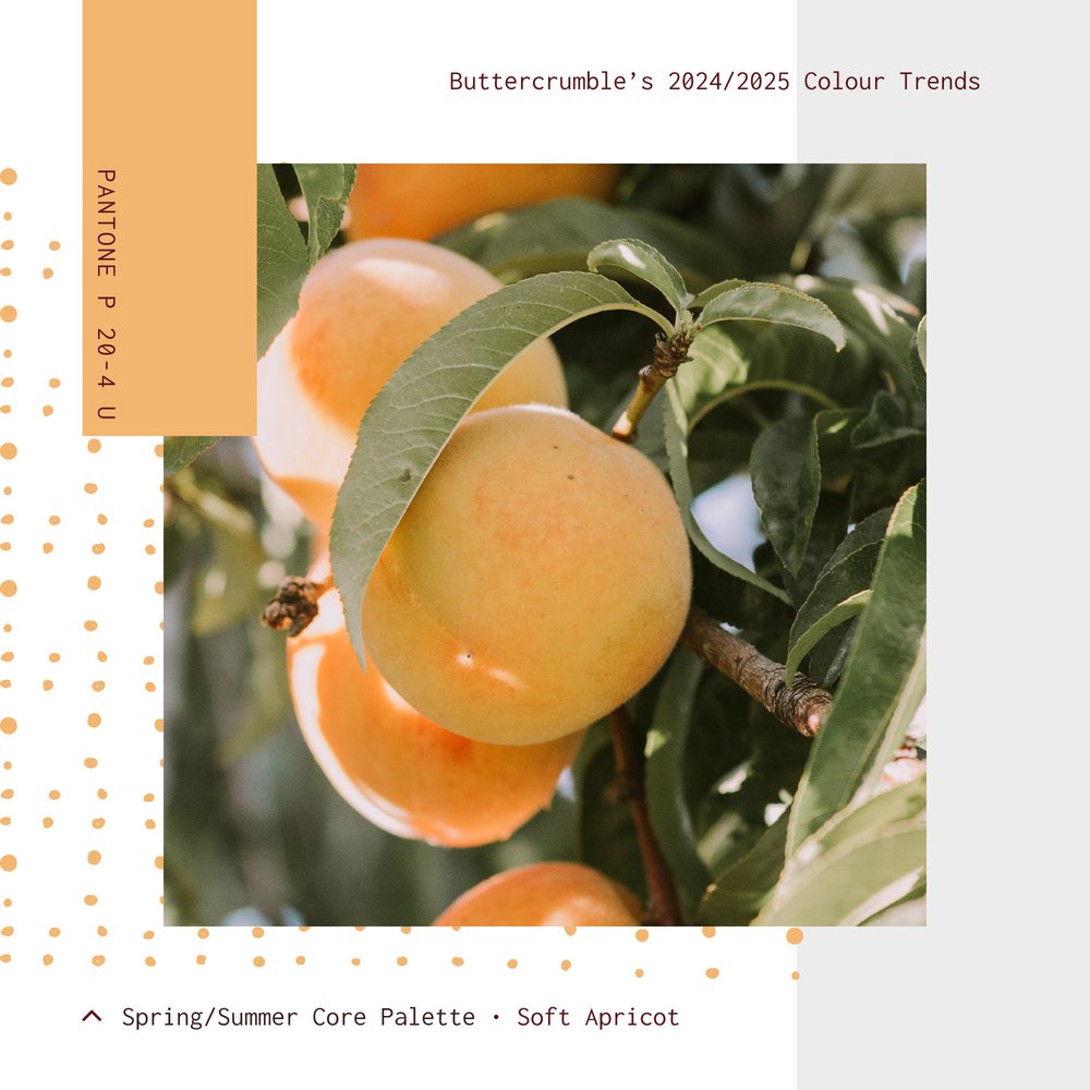 2024-5 Colour Trends - Palette - 0223_SS 02.jpeg