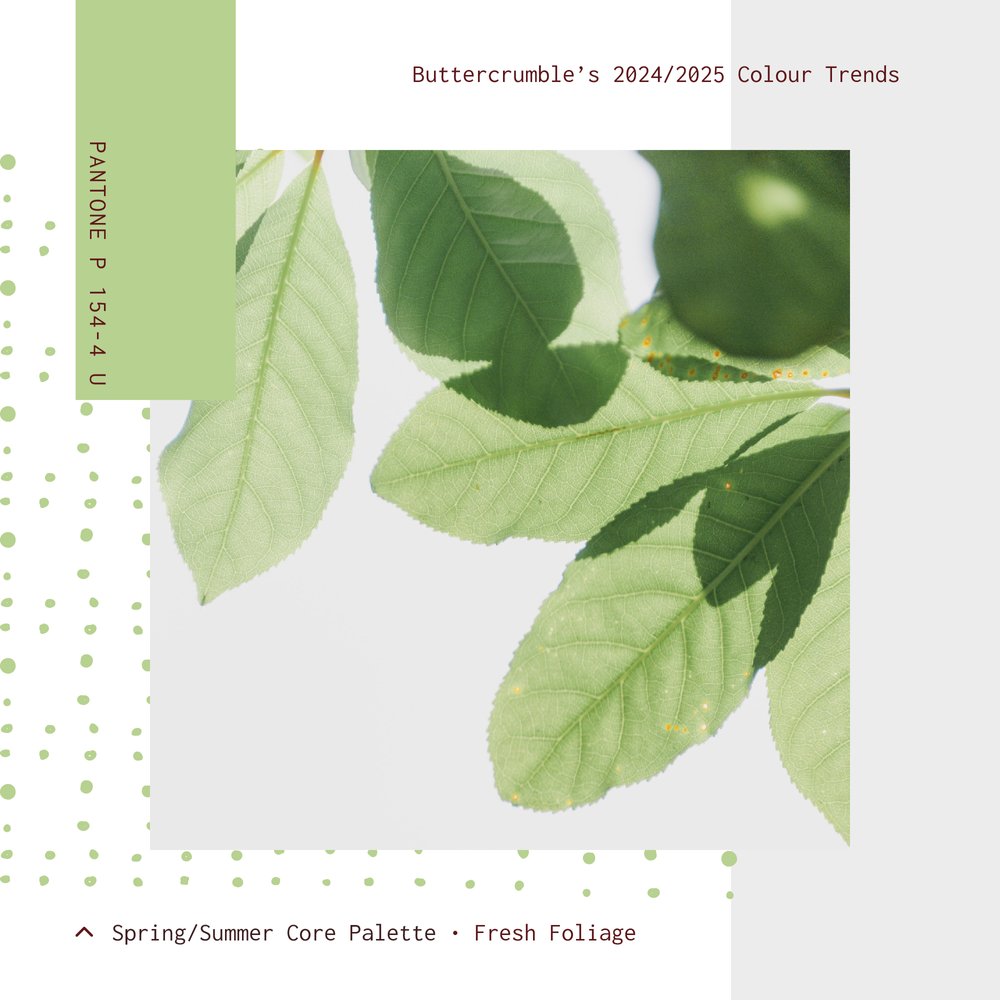 2024-5 Colour Trends - Palette - 0223_SS 03.jpg