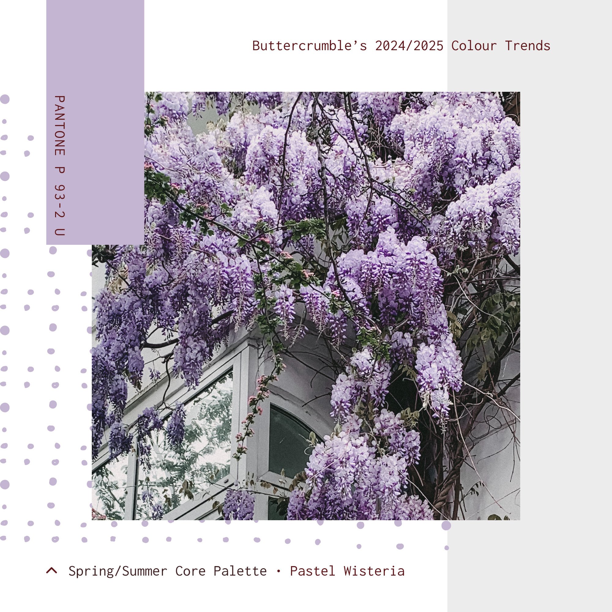 2024-5 Colour Trends - Palette - 0223_SS 04.jpeg