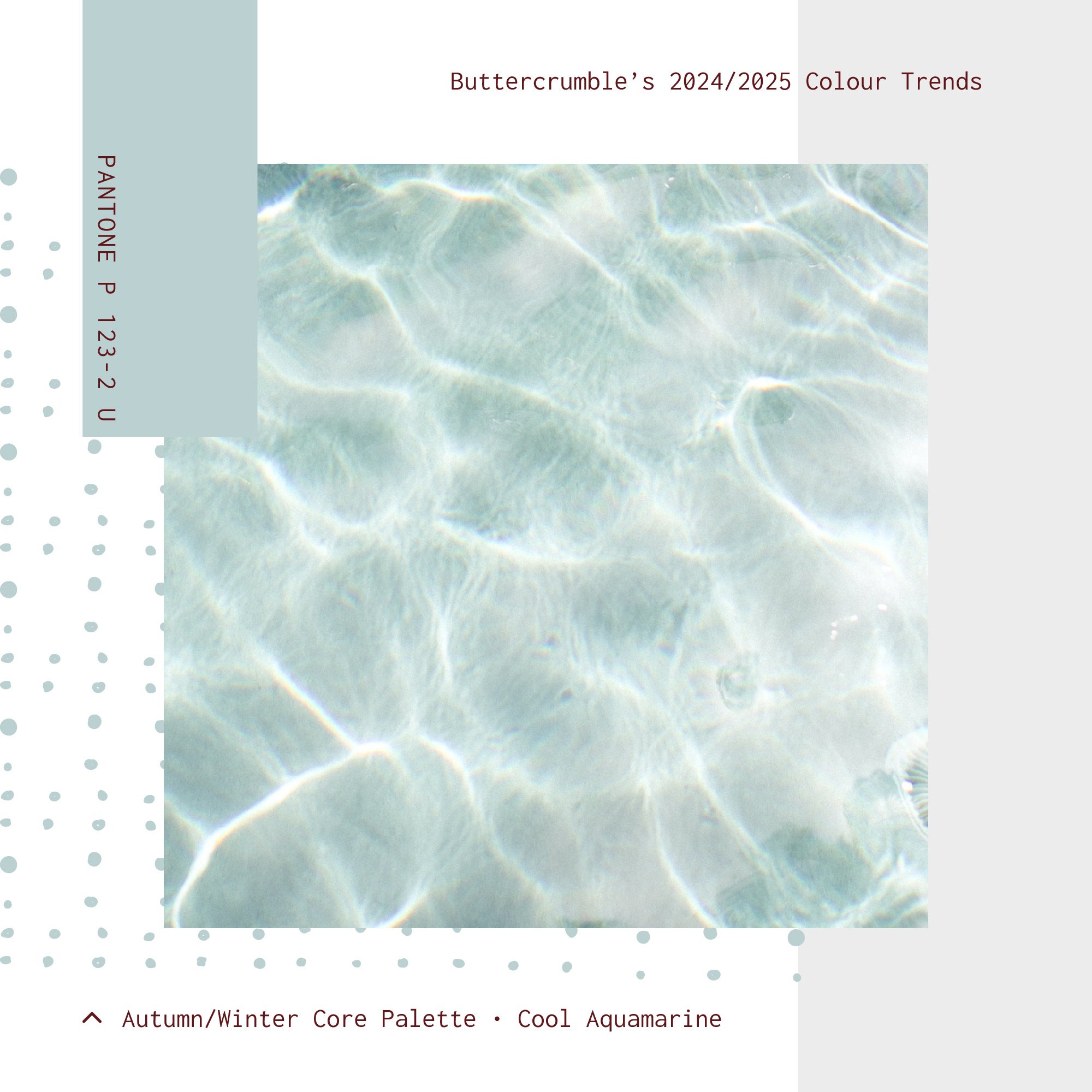 2024-5 Colour Trends - Palette - 0223_AW 04.jpeg