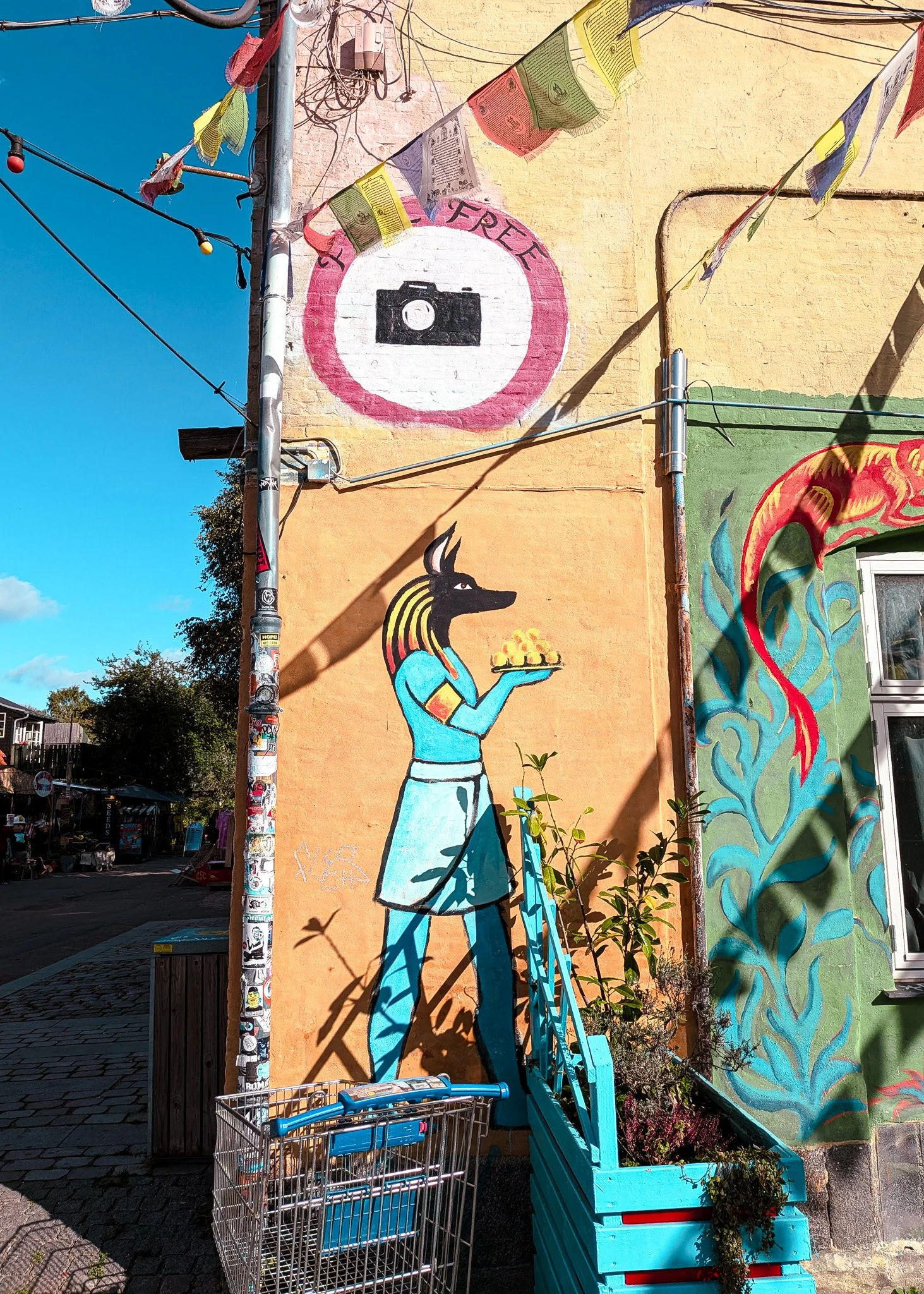 PXL_20261004_102719213.MP.jpg