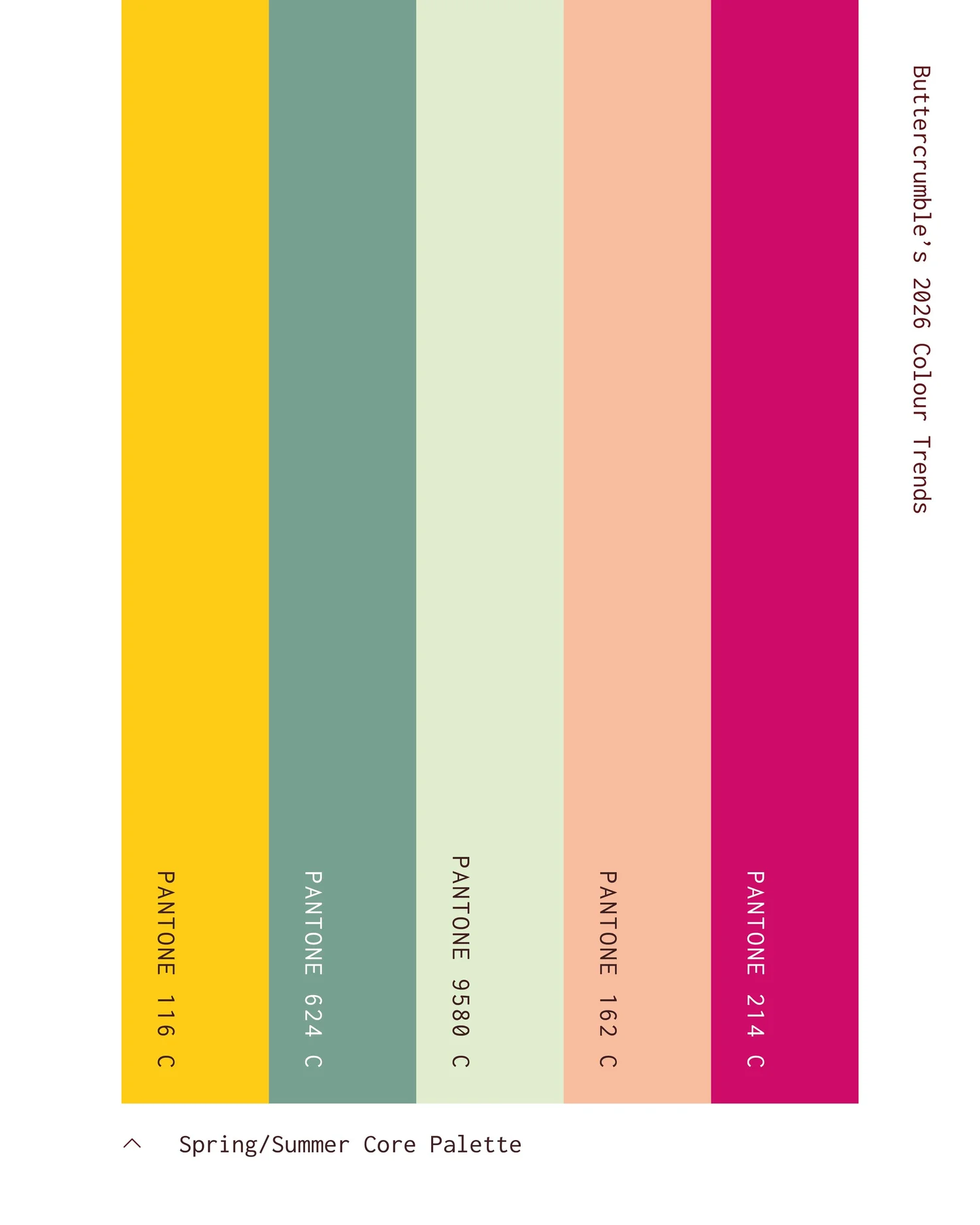 Refresh Your Brand with 2026 Colour Trends — Buttercrumble – Design Firm