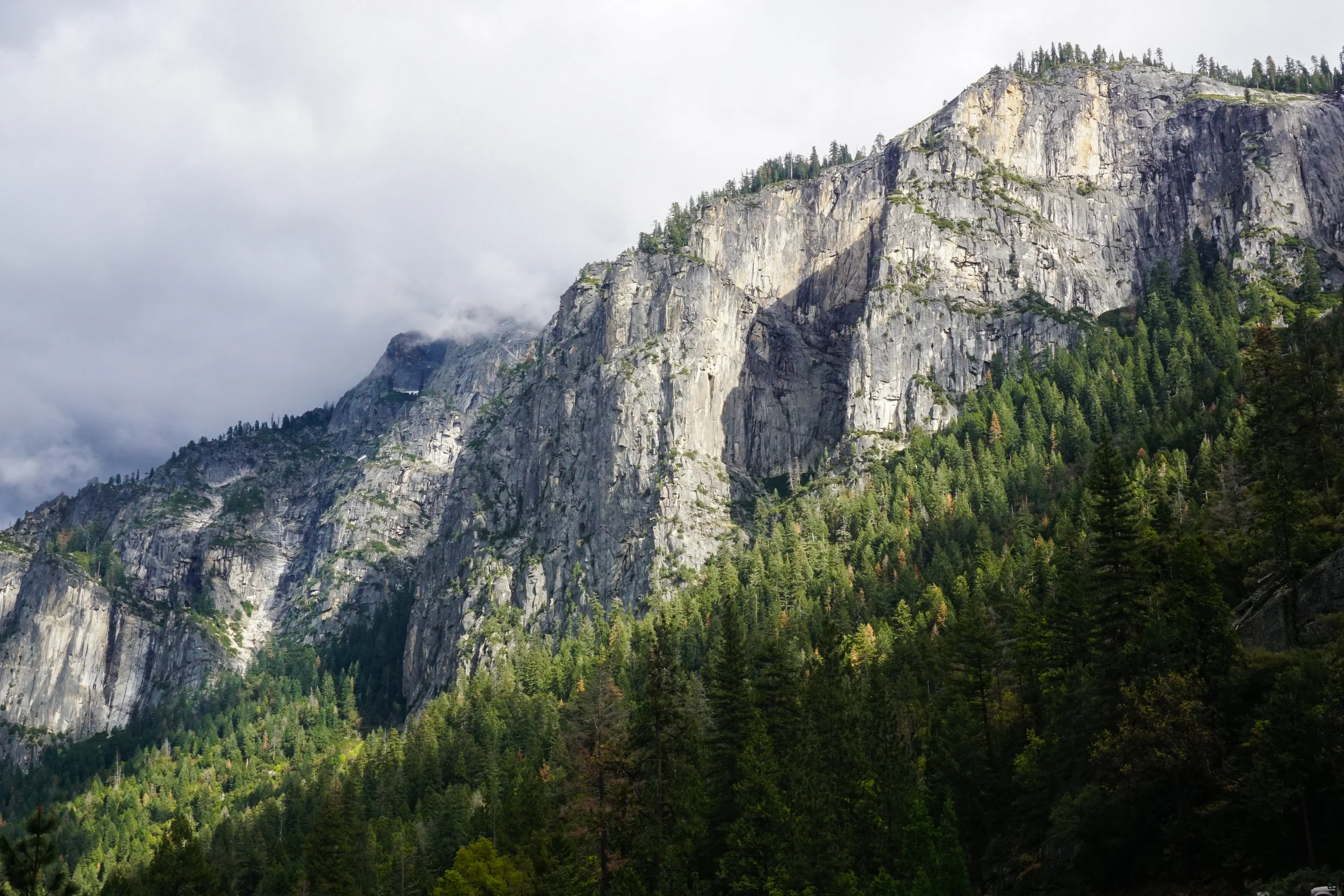 Nature's Angles Yosemtie - 2016 