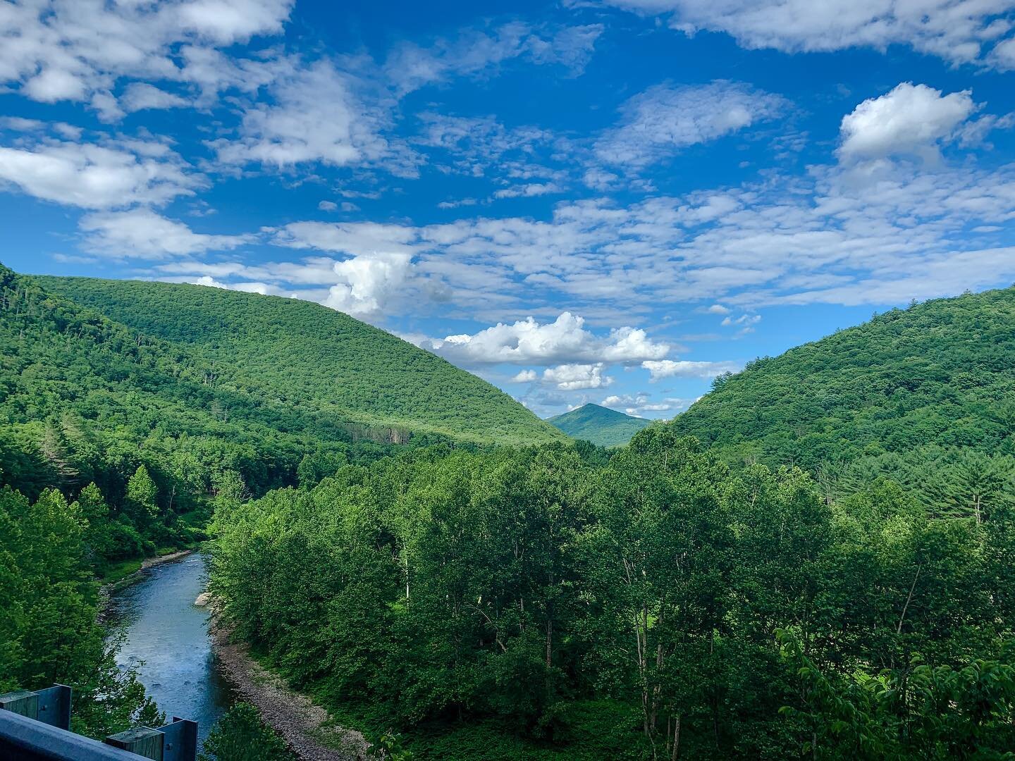 Just a phone pic of one of the best places to be.
.
.
.
.
.
#photography #landscape #trees #pinecreek #pennsylvania #creek #sky #beautifulpennsylvania #landscapephotography #shotoniphone #iphonexr #pa