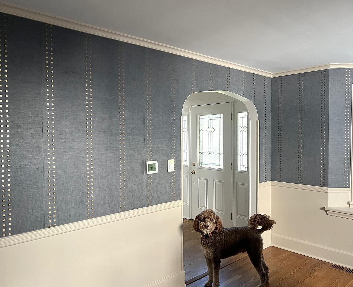 Two of our favorite things&hellip; #wallpaper and #client #pets 🐾  #interiordesign #njinteriordesign #olivehilldesigncompany #wallpaperdecor @phillipjeffriesltd #studsandstripes #blue #linen #diningroom #diningroomdesign #diningroomdecor #diningwall