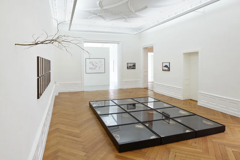  The Missing &nbsp;- or:&nbsp;One Thing Next to Another  Kuratiert von Lukas Töpfer  03.05.2014 - 05.07.2014 