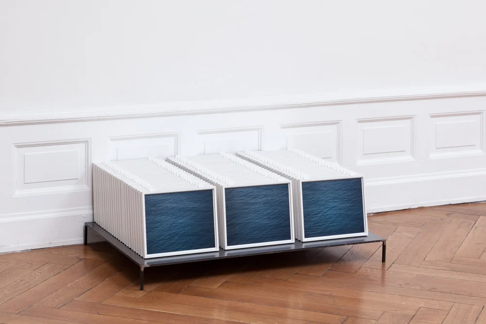  Daniel Gustav Cramer "Three"  kuratiert von Lukas Töpfer  20.06.2015 - 22.08.2015 