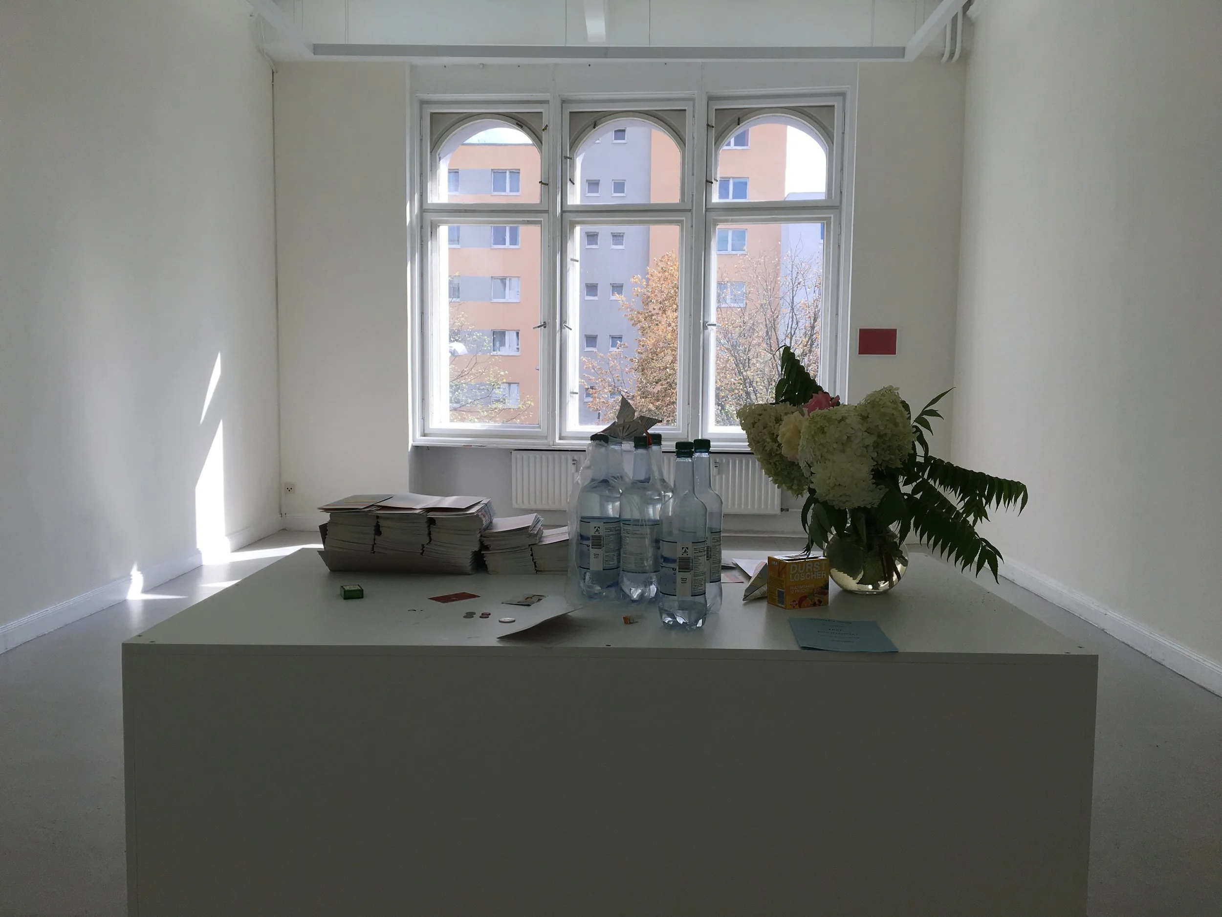 02_Installation view, Paul Makowsky, Kunstsaele Berlin, 2017.JPG
