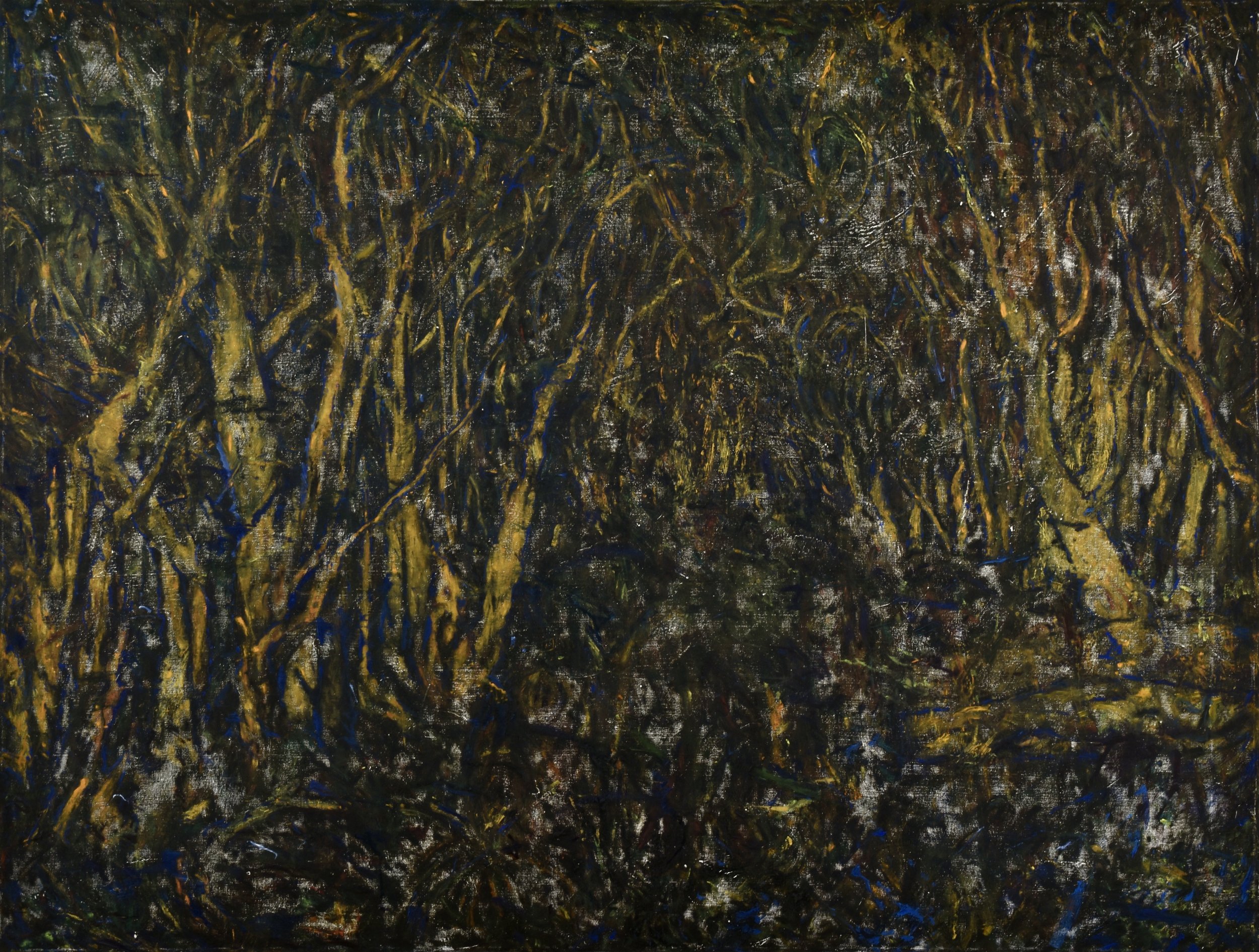   Dark Forest , 2020  oil on canvas  44” x 58”   