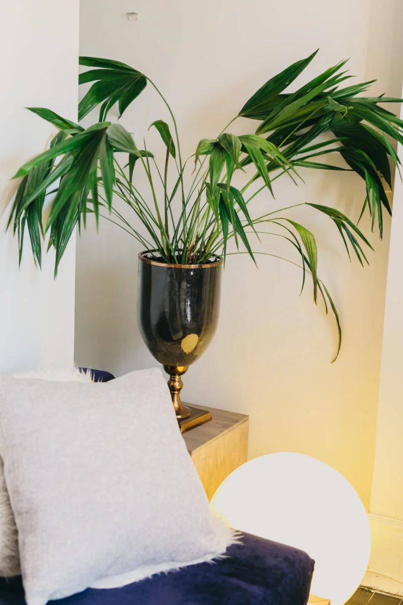 Added comfy cable knit pillows to bring a warmth and make the space inviting.