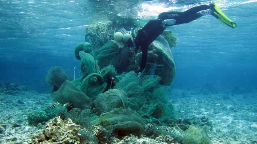 Careless activities like abandoned fishing gear or improper anchor placement causes considerable damage to corals. Photo credit: National Oceanic and Atmospheric Administration