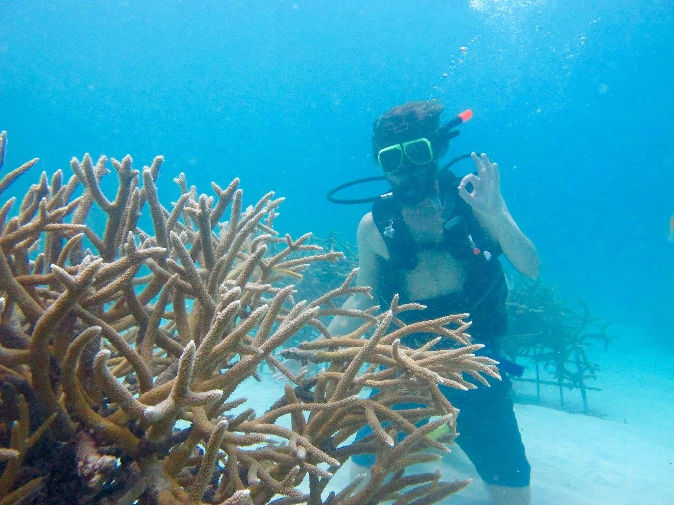 Ocean Optimism for 2016