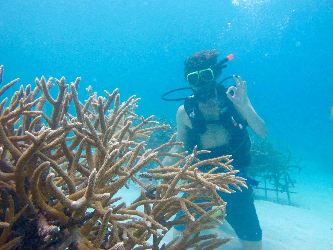 Highlights & New Year's Greetings from Coral Vita