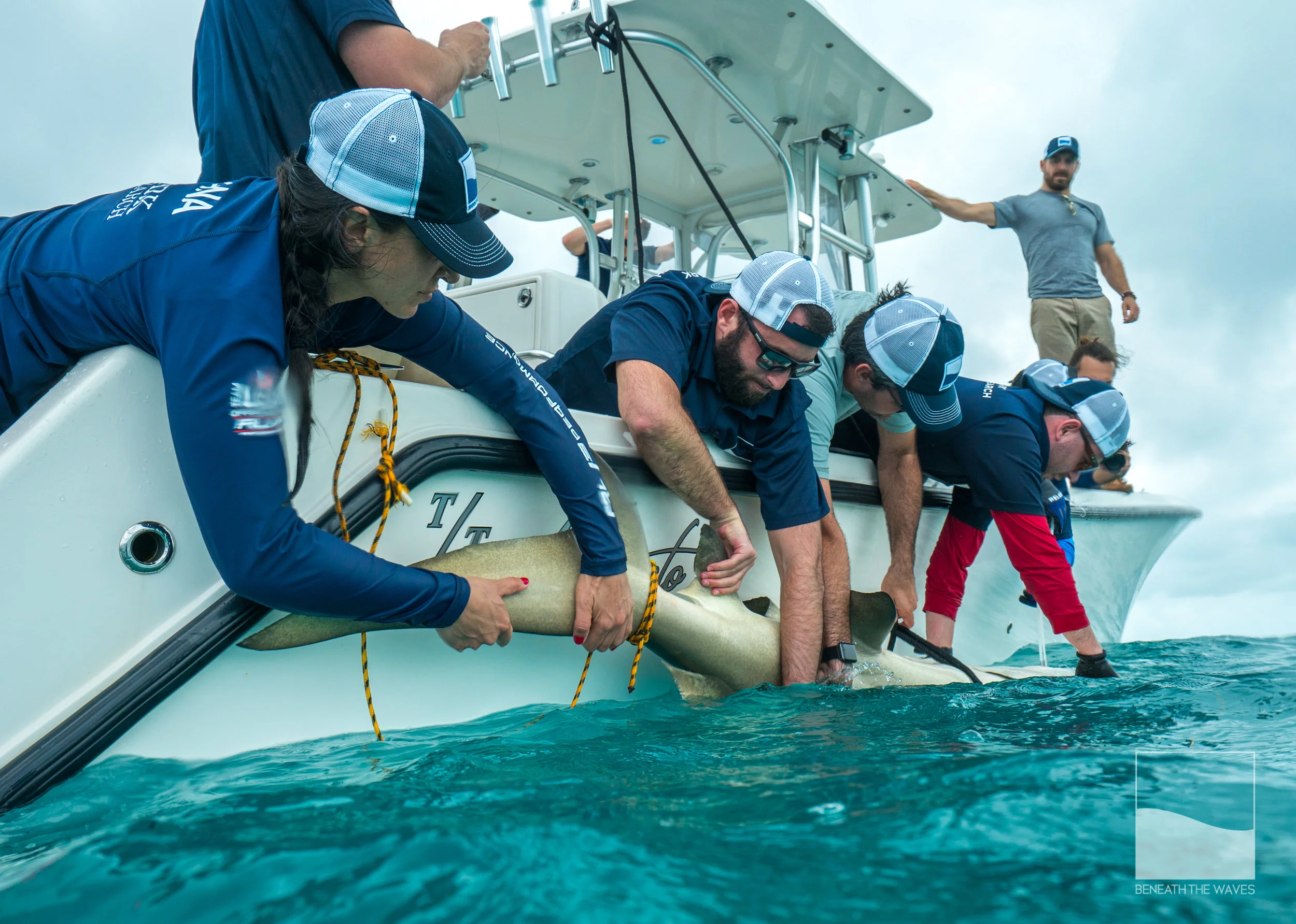 Teamwork makes the dream work.