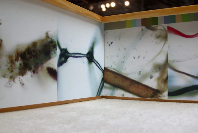 Installation view, Kelly Cobb & Connie Hwang, Art Museum Dust Collection Collage and Digital Textile, 2009.