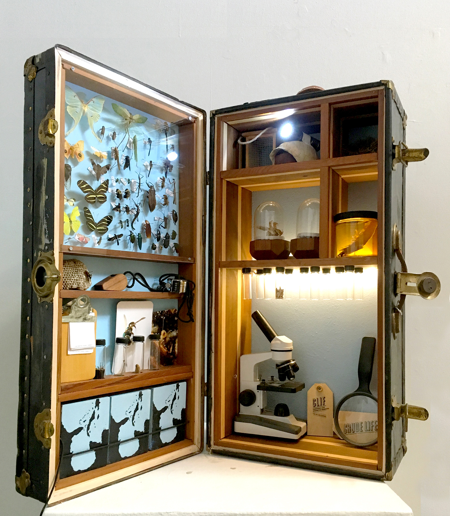 Crude Life Portable Biodiversity Museum for the Gulf of Mexico (Invertebrate Gallery), Sean Miller in collaboration with Brandon Ballengee , 2016 