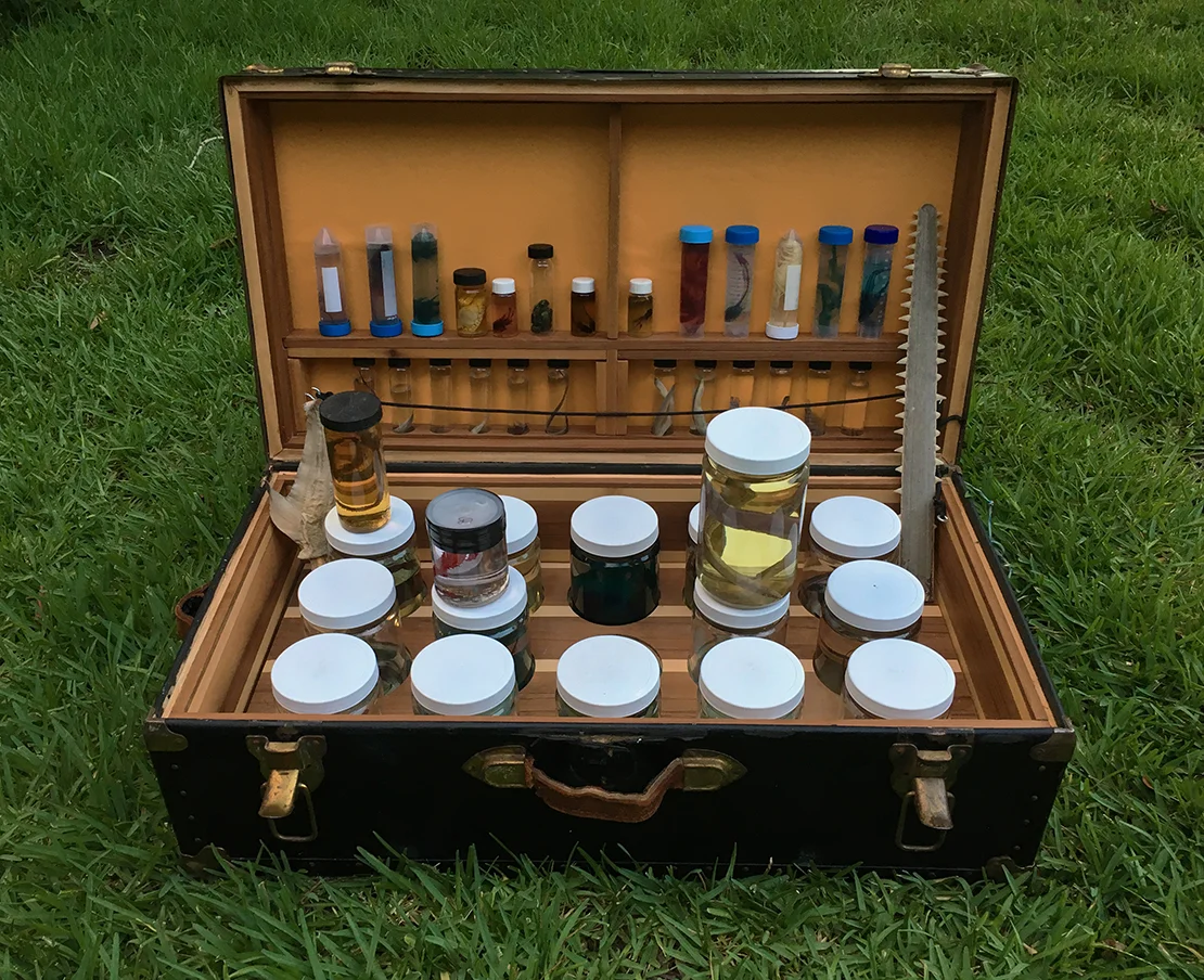 Crude Life Portable Biodiversity Museum for the Gulf of Mexico, Sean Miller in collaboration with Brandon Ballengée, 2016