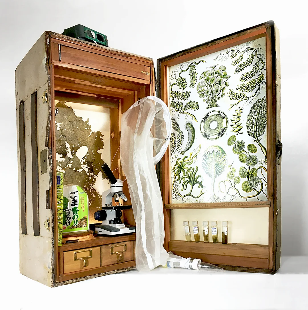 Crude Life Portable Biodiversity Museum for the Gulf of Mexico (Algae Gallery for Dr. Suzanne Fredricq), Sean Miller in collaboration with Brandon Ballengée, 2017.