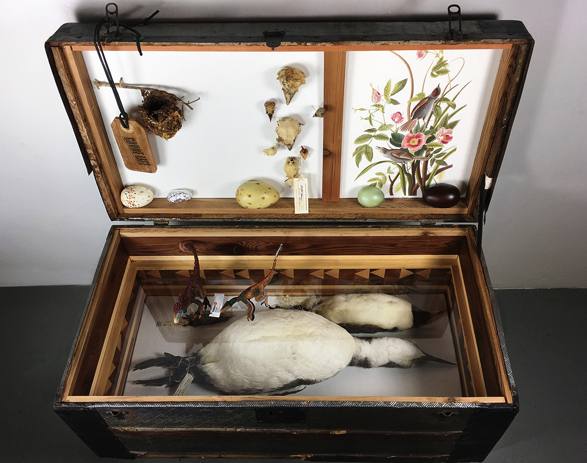 Crude Life Portable Biodiversity Museum for the Gulf of Mexico (Ornithology Gallery), Sean Miller in collaboration with Brandon Ballengée, 2017