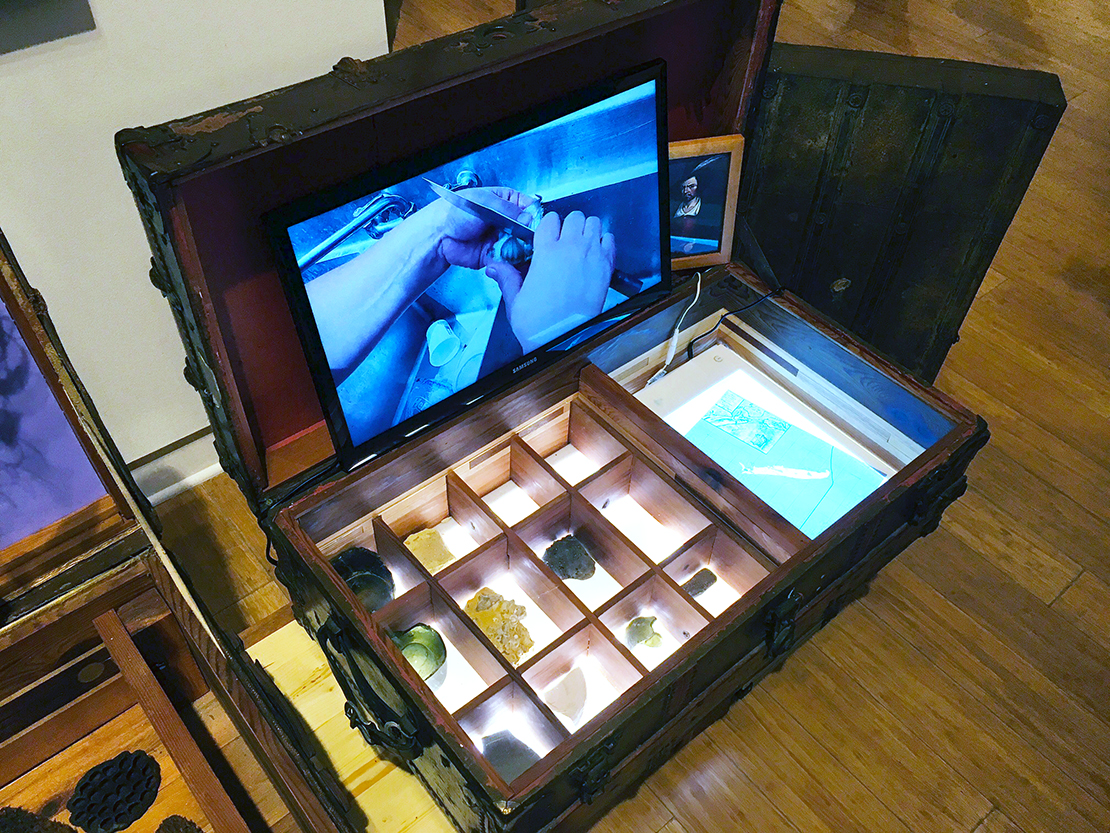 Crude Life Portable Biodiversity Museum for the Gulf of Mexico, Sean Miller in collaboration with Brandon Ballengee, Video by Monique Verdin (Lost Civilizations Gallery), 2017