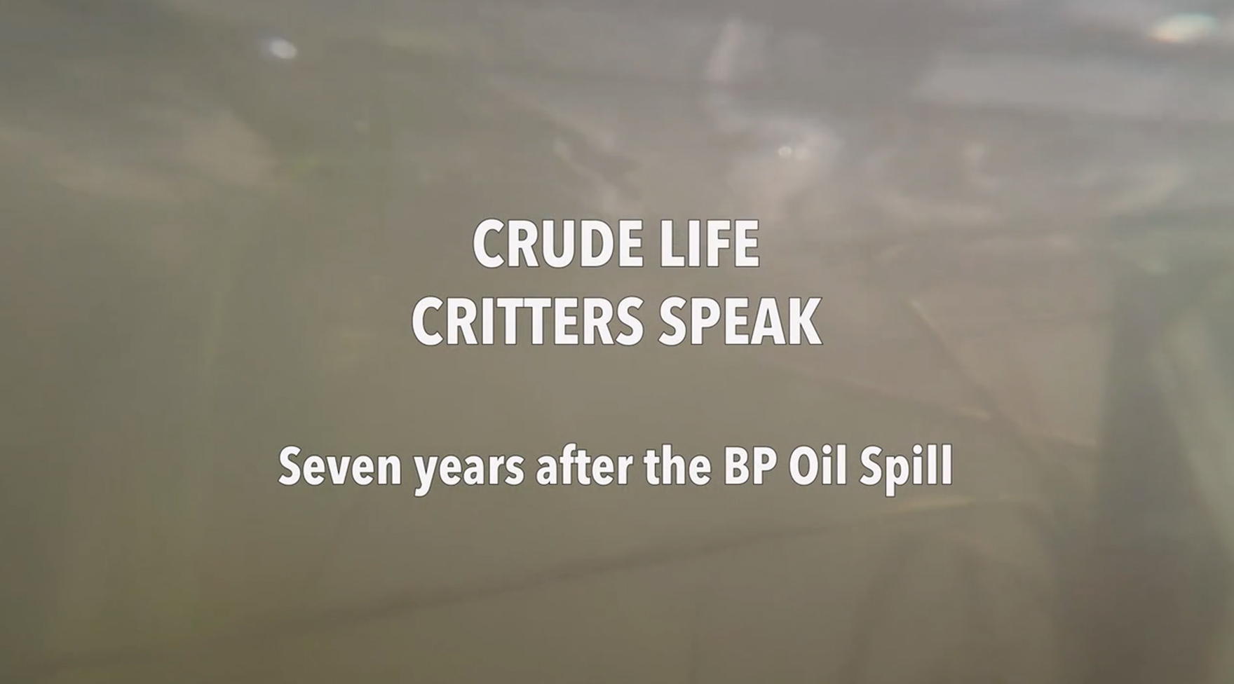 Rachel Mayeri's video "Crude Life Critters Speak Seven Years After the BP Oil Spill" 