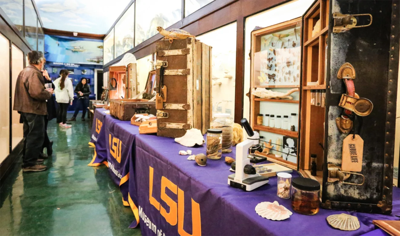 The Crude Life Portable Museum, A Citizen Art and Science Investigation of Gulf of Mexico Biodiversity after the Deepwater Horizon Oil Spill, popped into the LSU Museum of Natural Science in January, 2018, making a splash for curious visitors wanting to escape unusually icy weather in Louisiana. Learn more about the museum from its creators below! CLICK HERE FOR FULL ARTICLE
