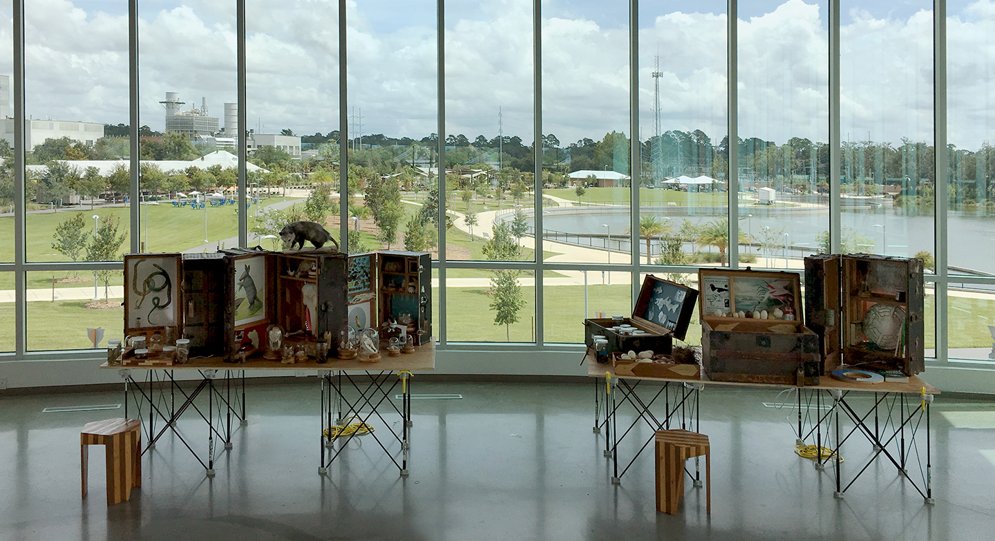 Drifting Cabinets: A Curious Portable Collection of Gulf Biodiversity, 2019.