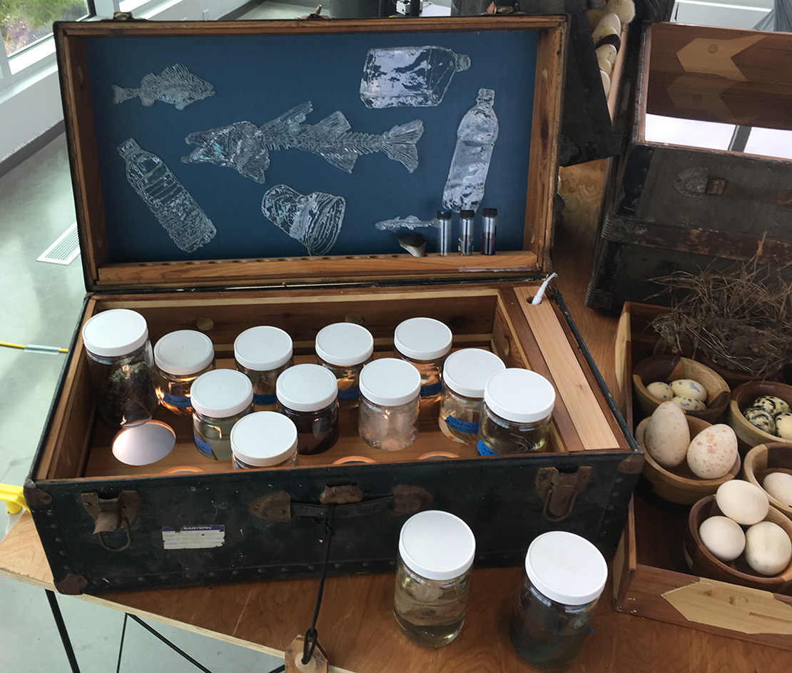 Drifting Cabinets: A Curious Portable Collection of Gulf Biodiversity, 2019.