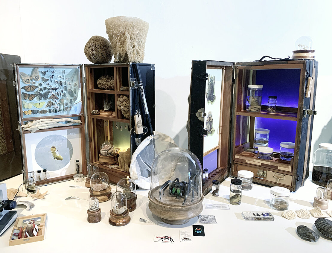 Sean Miller, Drifting Cabinets: A Curious Collection of Gulf Biodiversity, 2018-2021.