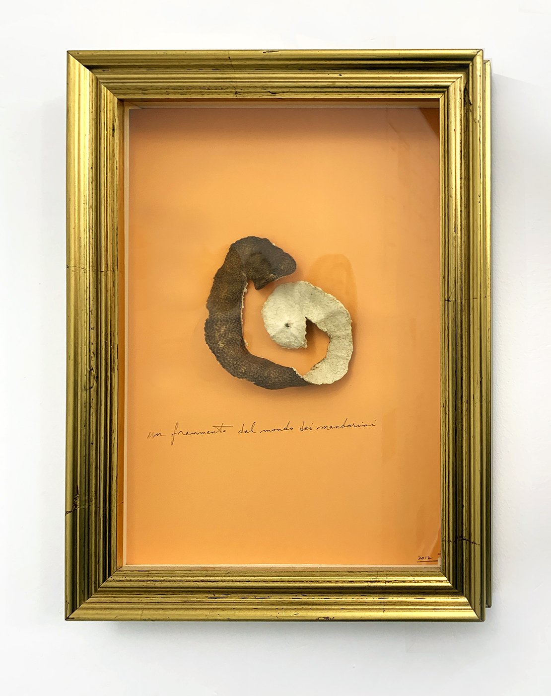 Philip Corner, Piece of Reality Mandarino, mandarin peel and graphite on paper, 13 1/2 x 10 inches, 2022.