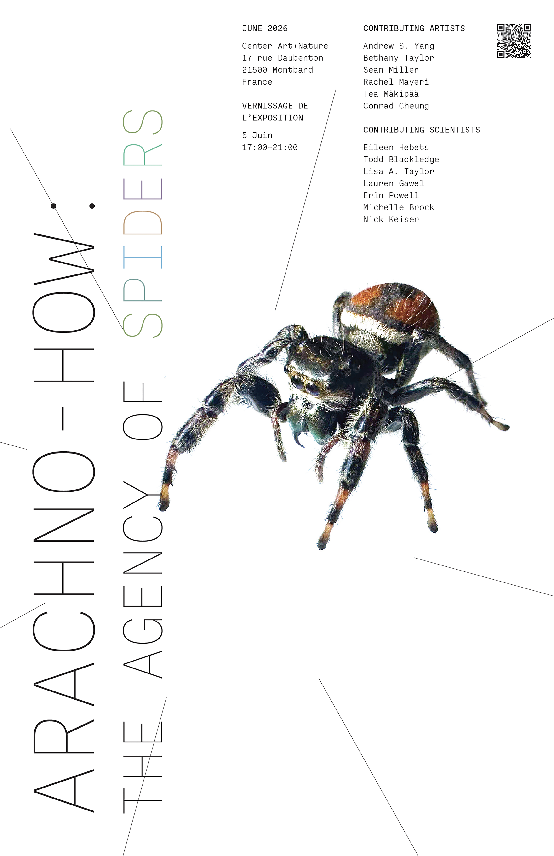 Arachno-how: The Agency of Spiders 