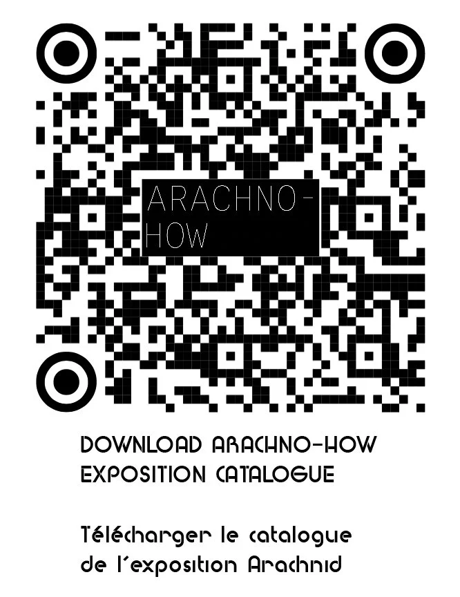   DOWNLOAD EXHIBITION CATALOGUE  