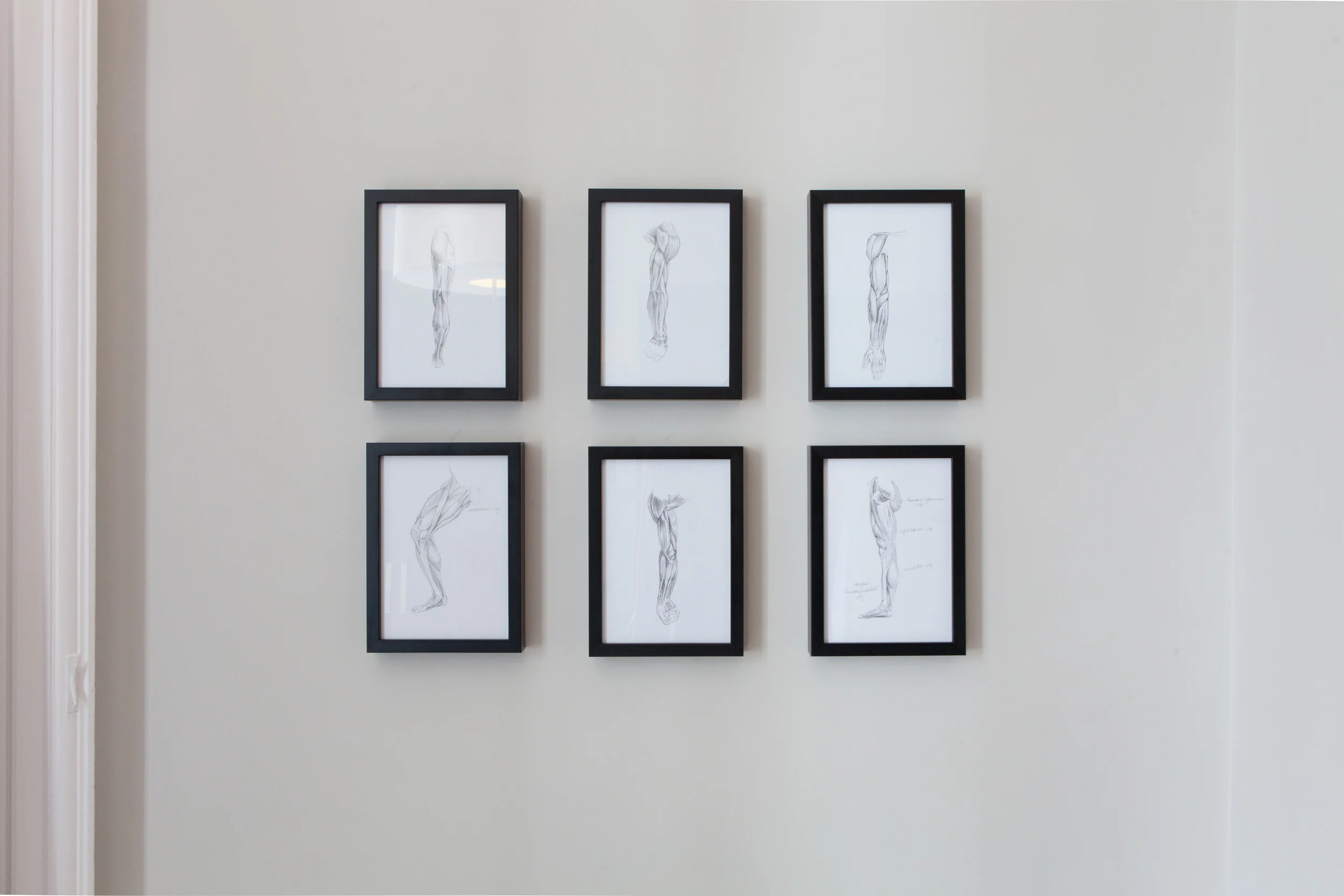 Arnauld Osteopathy0139.jpg