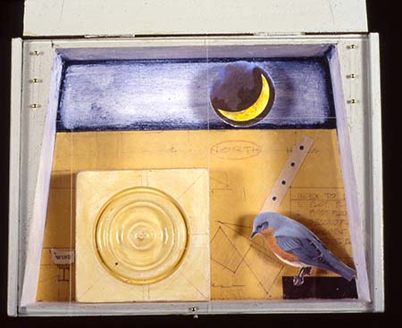 Bluebird Ponders North and Night Sky