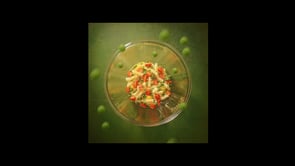 Bertolli UK