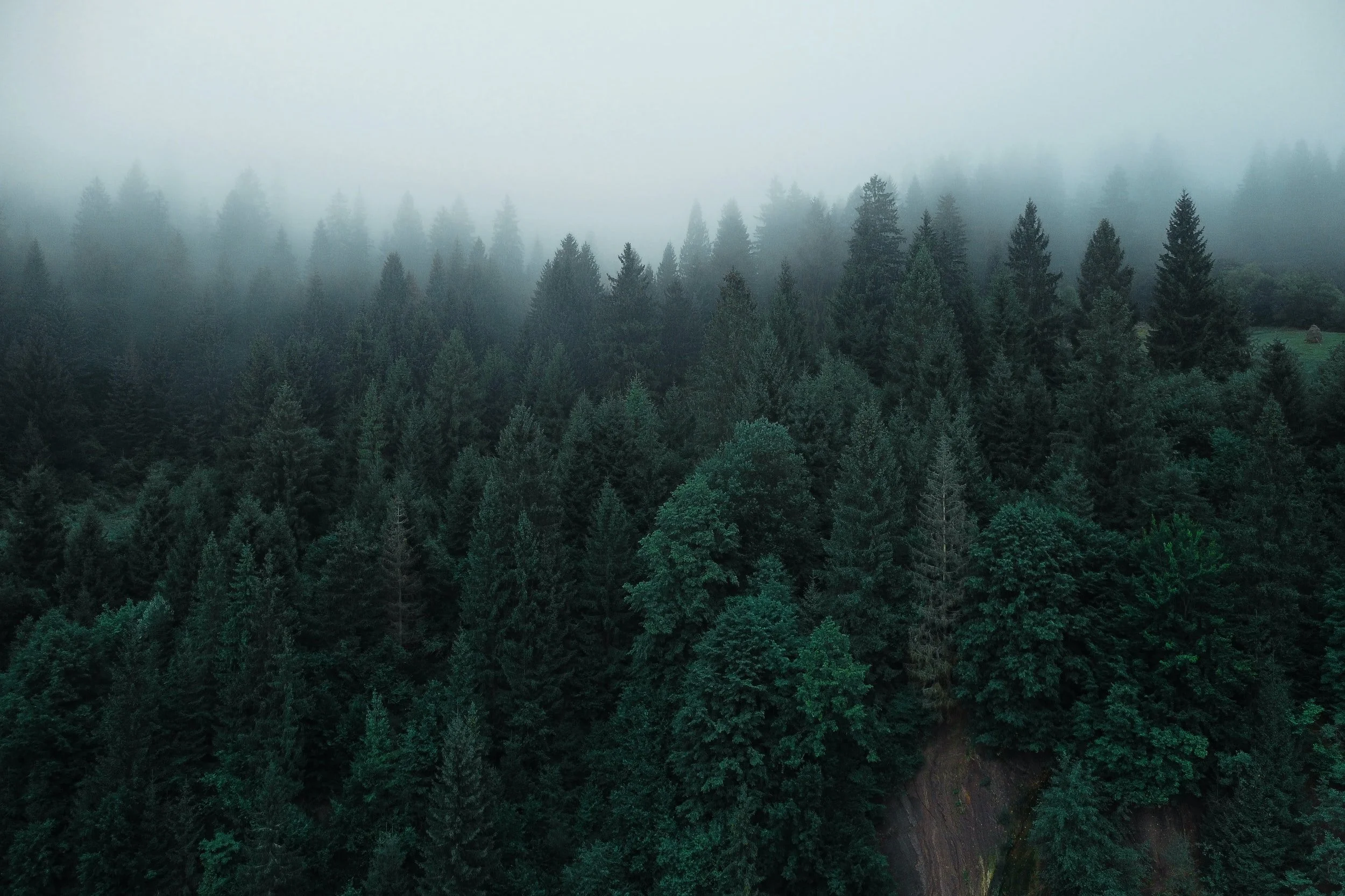 unsplash-image-R-CoXmMrWFk.jpg