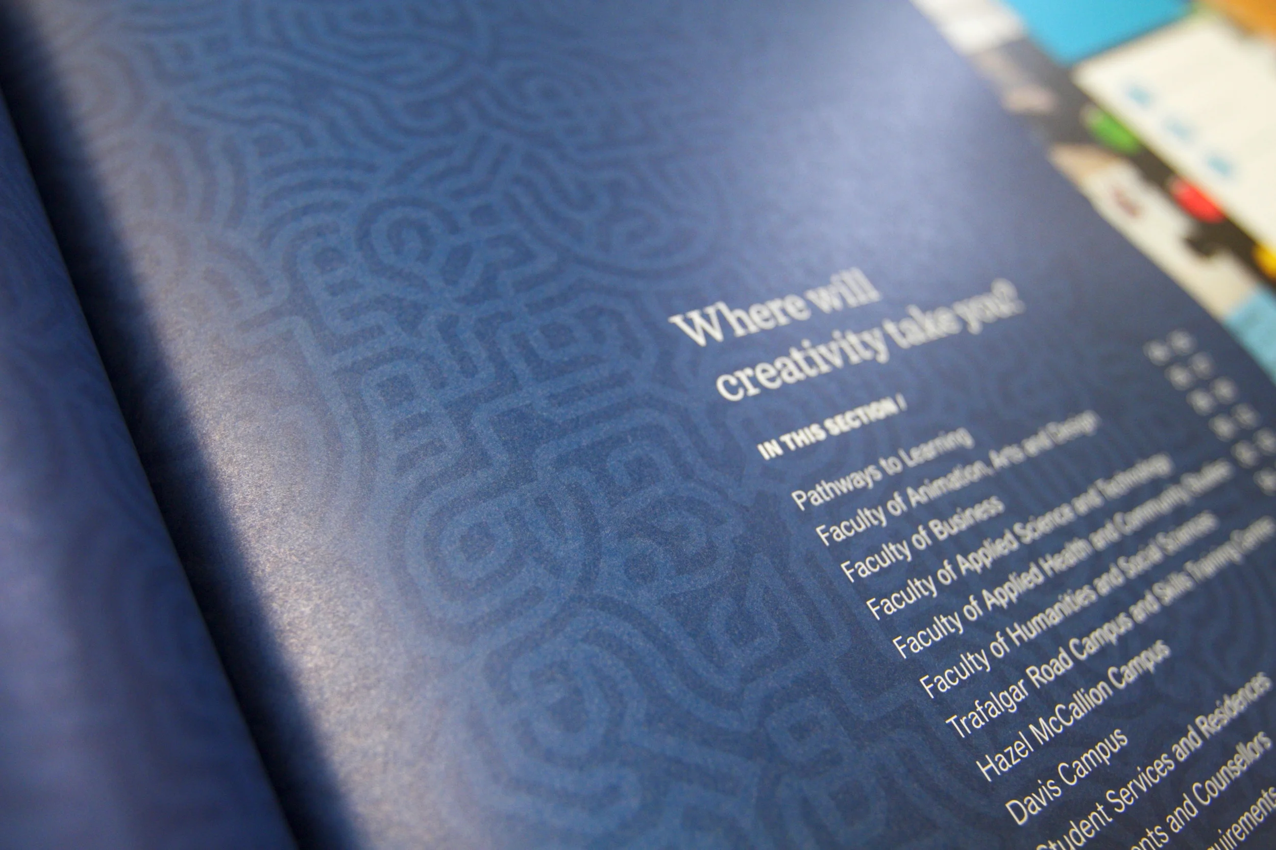 Brand pattern (1 of 7)