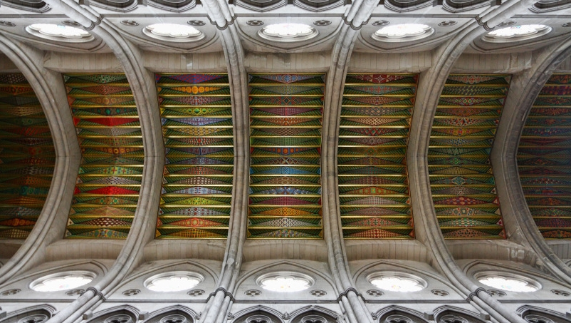 dpp_08682.jpg