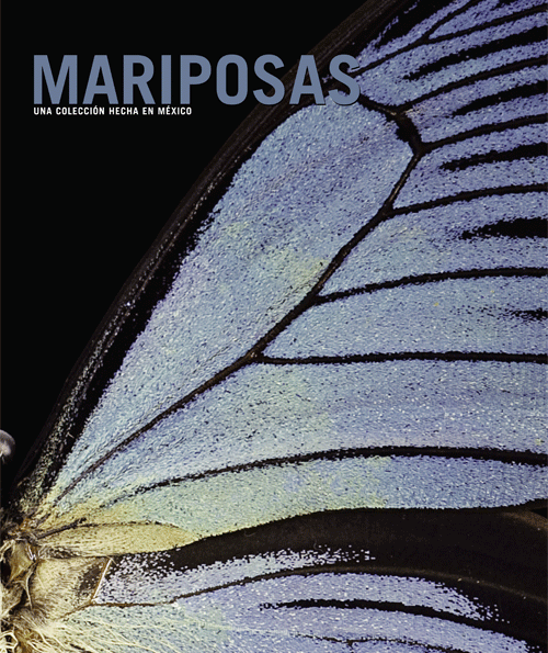 Mariposas2.gif