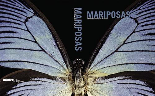 Mariposas-completa.gif