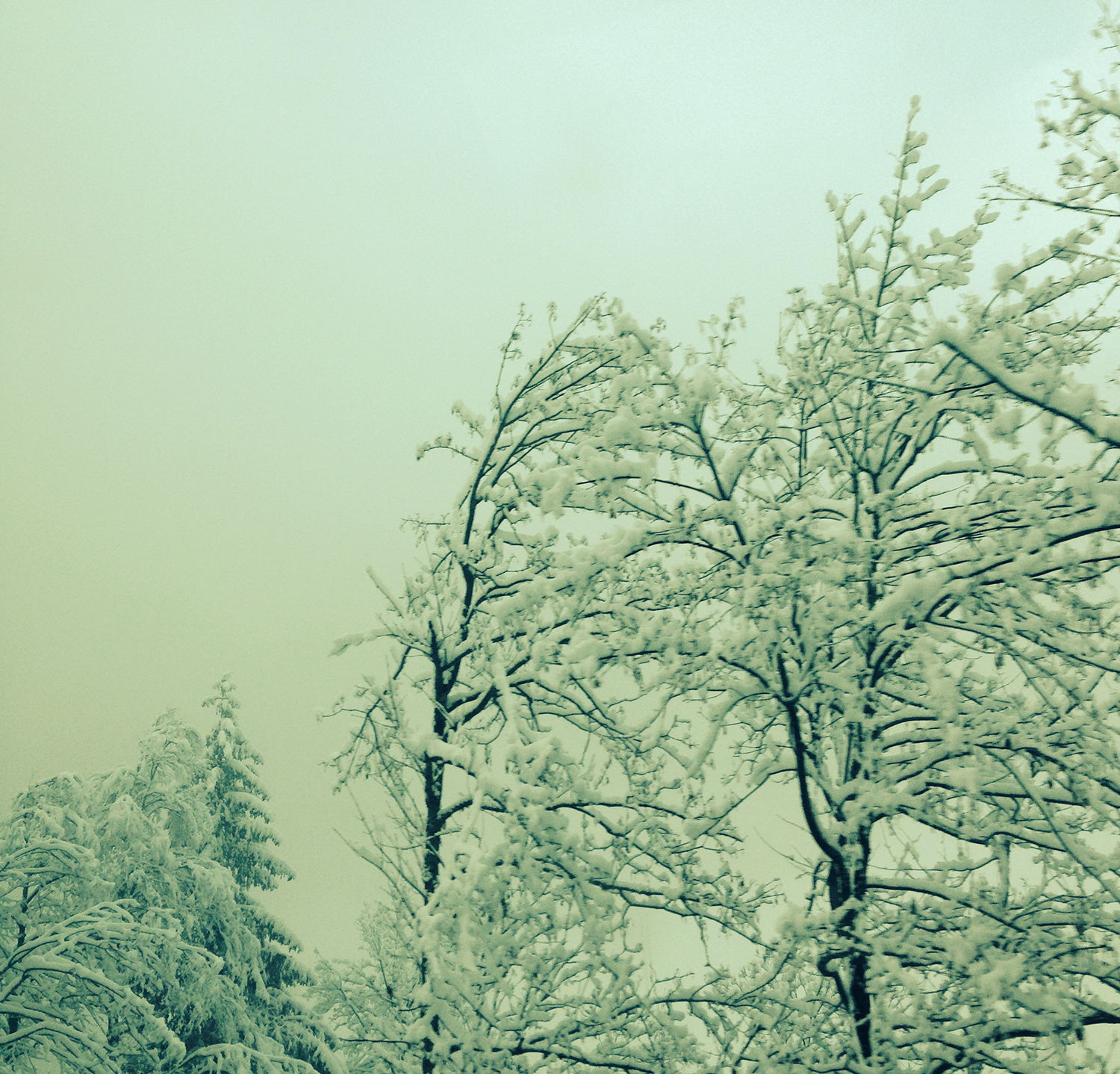 Cover2.jpg