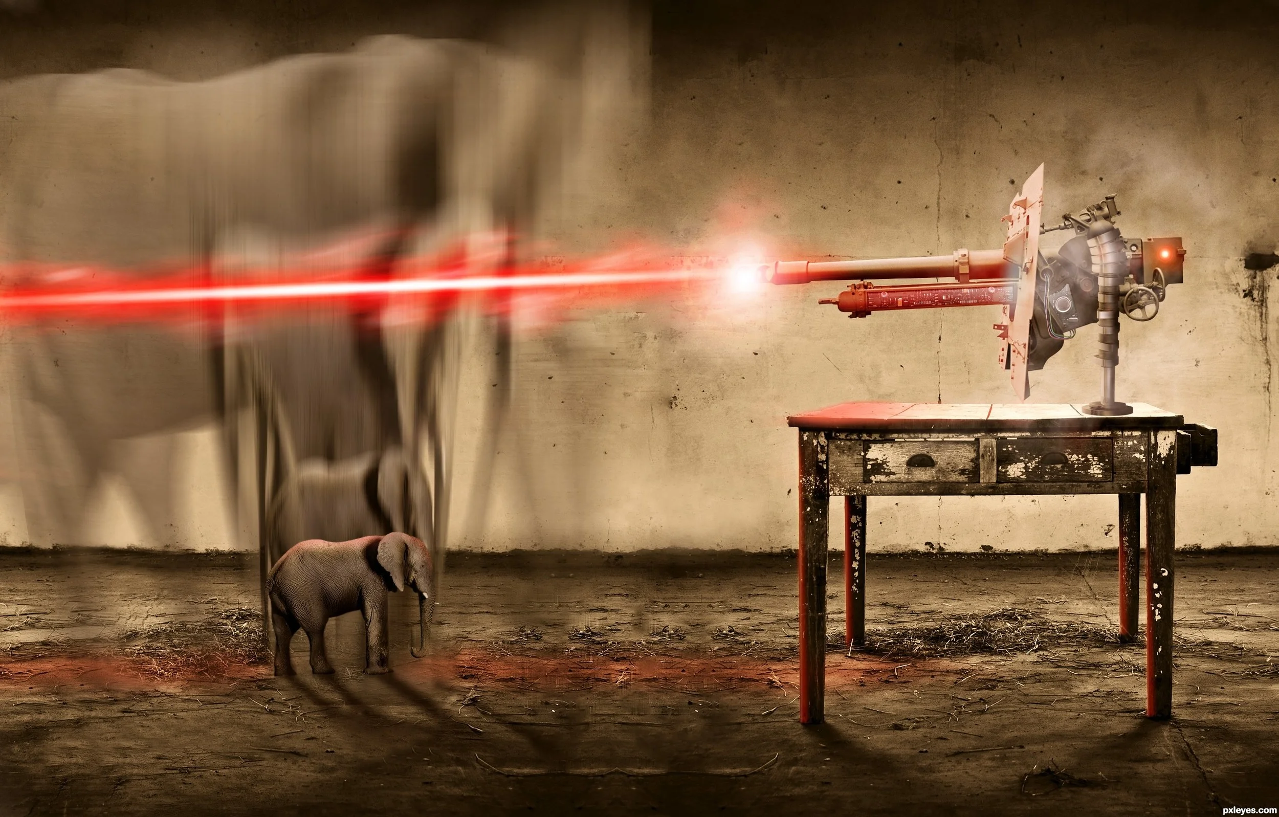 Shrinking The Elephant 