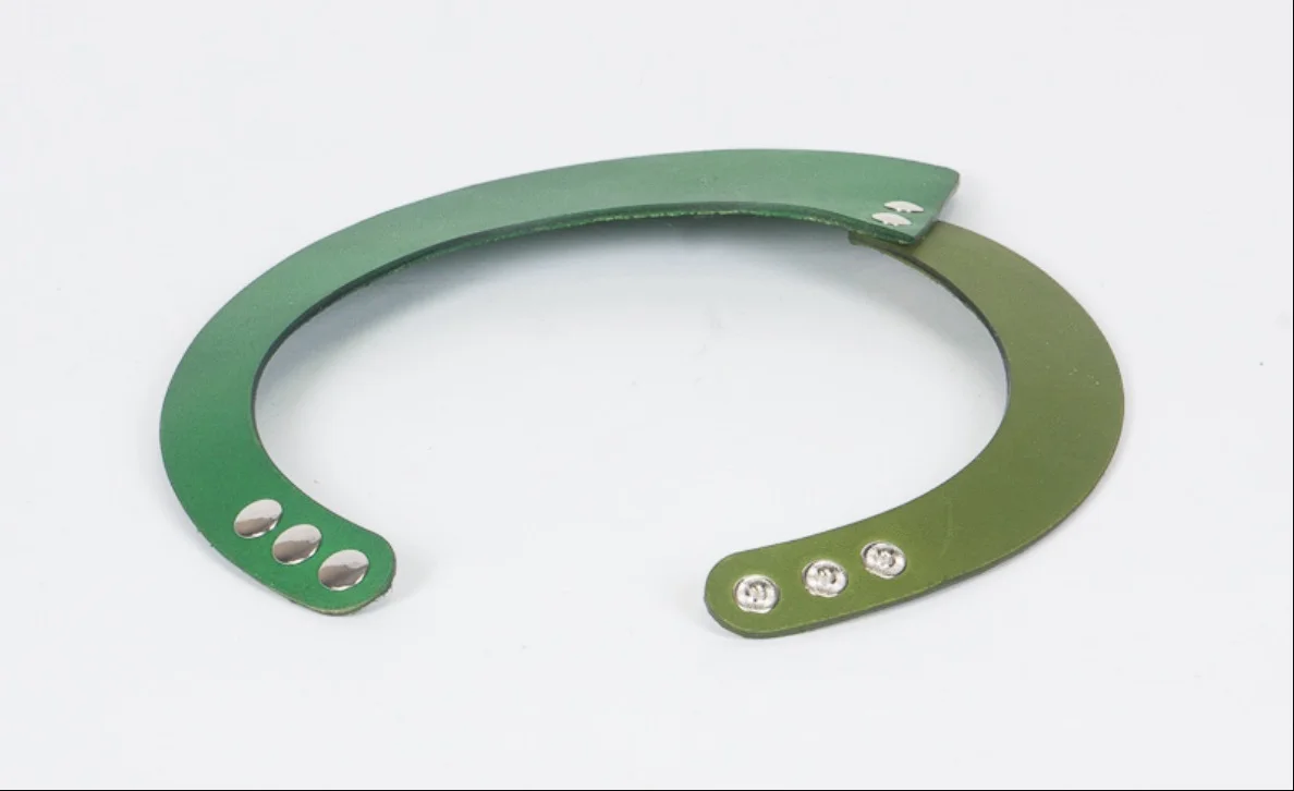Green collar 2.jpg