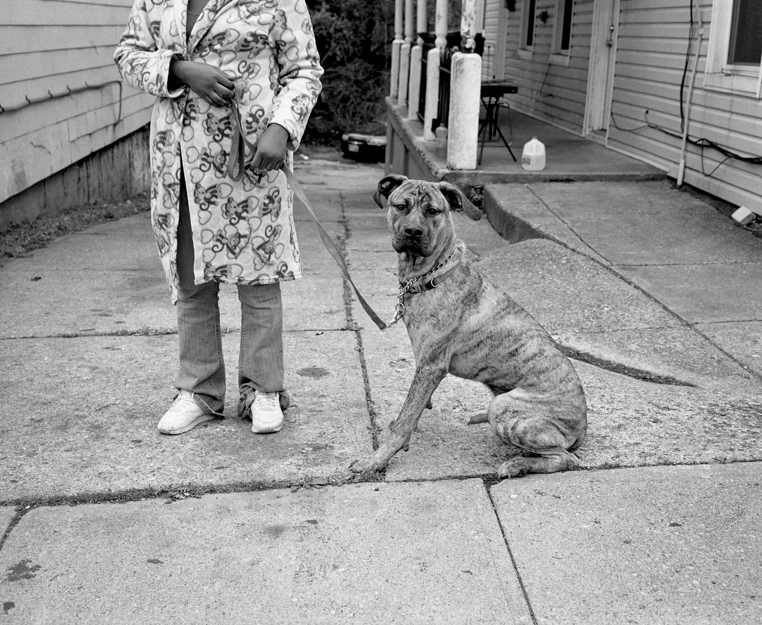 Michael-Wilson-State-Beekman-Streets-2012-11.jpg