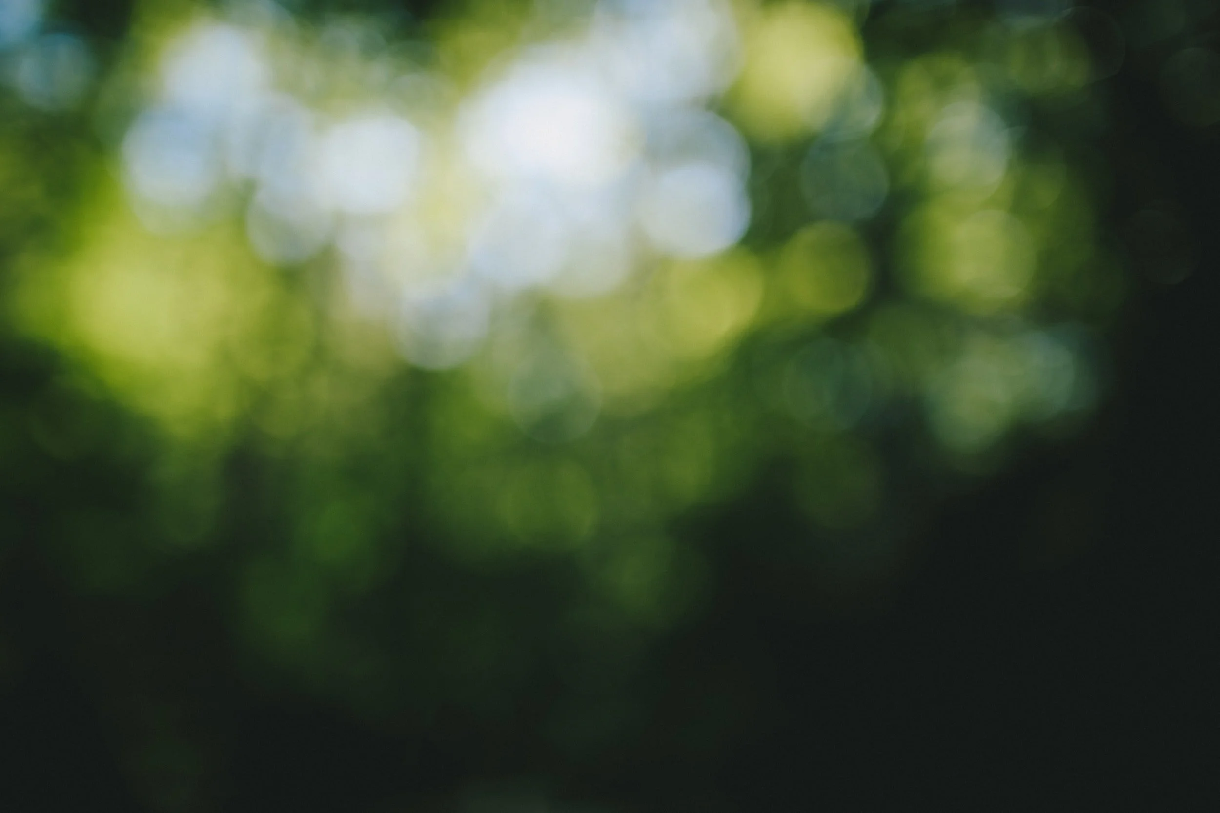 unsplash-image-4PWqHpxhvQM.jpg