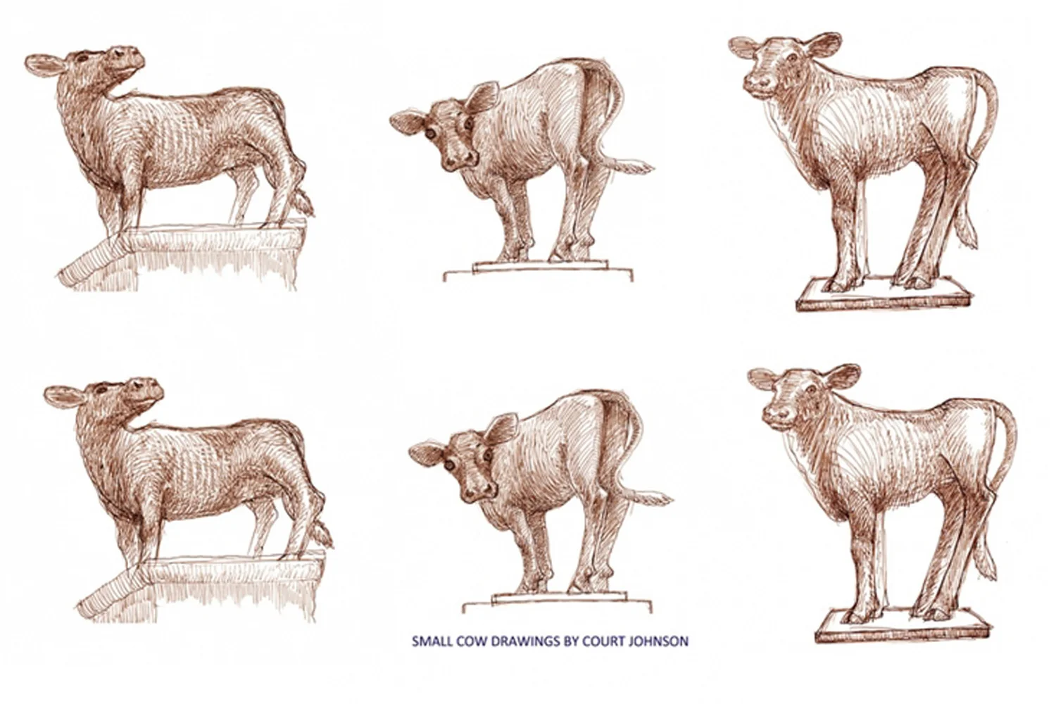 Small-Cow_Drawing1.jpg