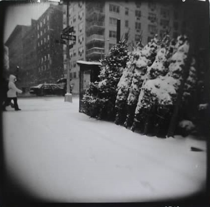 First snowfall, New York, 2003
